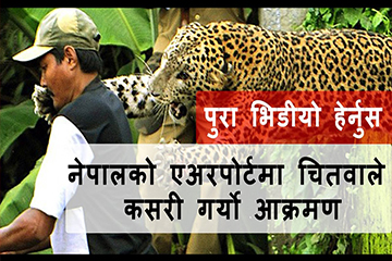 Leopard shuts down Nepal International Airport